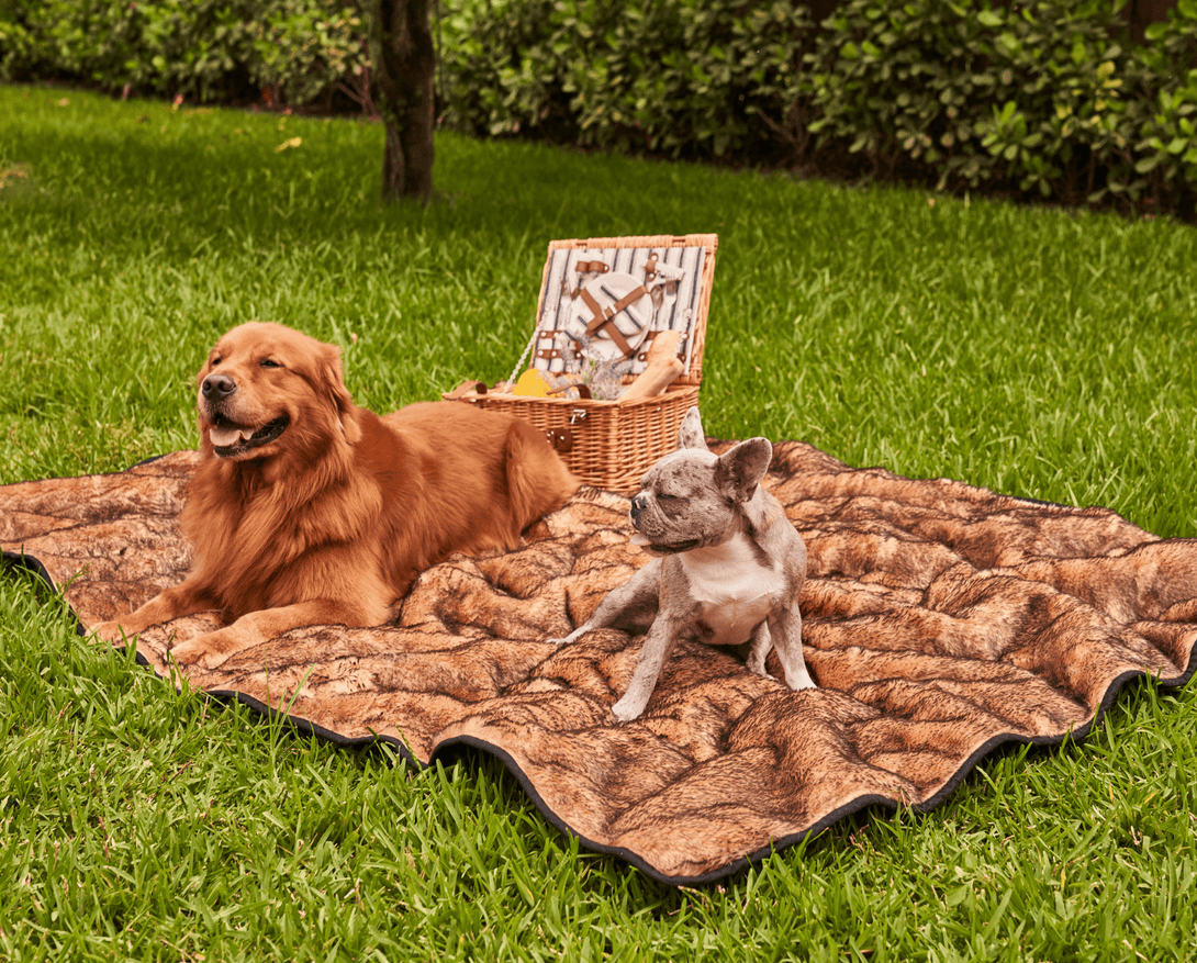PupProtector Summer Short Fur Waterproof Throw Dog Blanket - Sable Tan – Dog Blankets by Paw.com