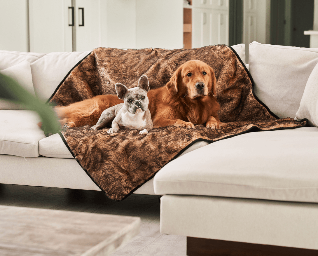 PupProtector Summer Short Fur Waterproof Throw Dog Blanket - Sable Tan – Dog Blankets by Paw.com