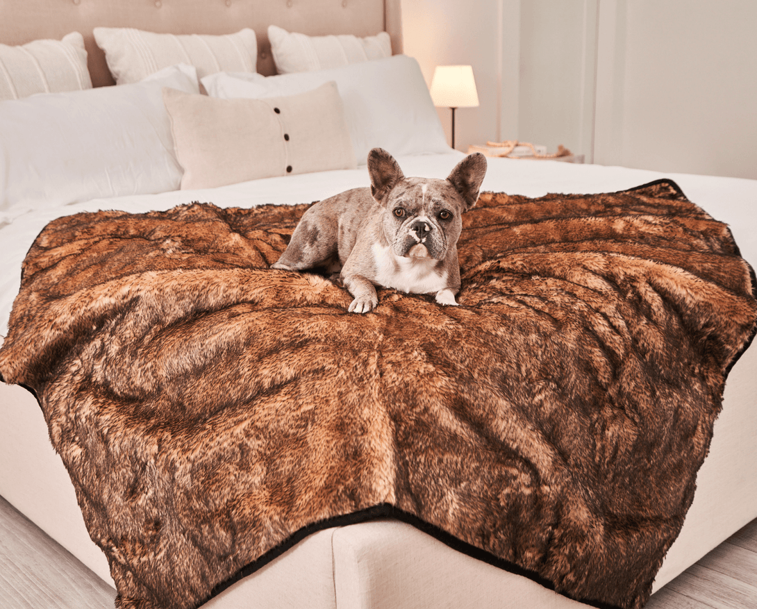 PupProtector Summer Short Fur Waterproof Throw Dog Blanket - Sable Tan – Dog Blankets by Paw.com