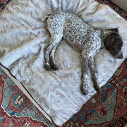 PupProtector Summer Short Fur Waterproof Throw Dog Blanket - White with Brown Accents – Dog Blankets by Paw.com