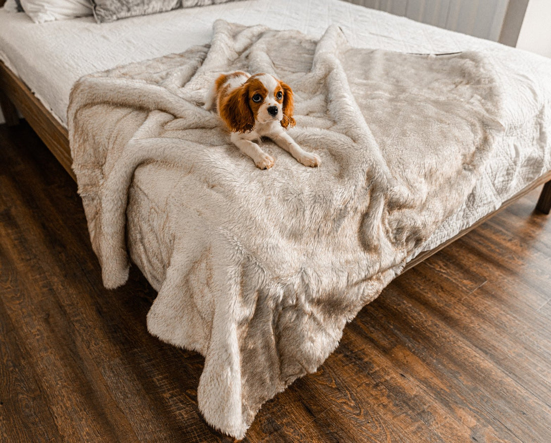 PupProtector Summer Short Fur Waterproof Throw Dog Blanket - White with Brown Accents – Dog Blankets by Paw.com