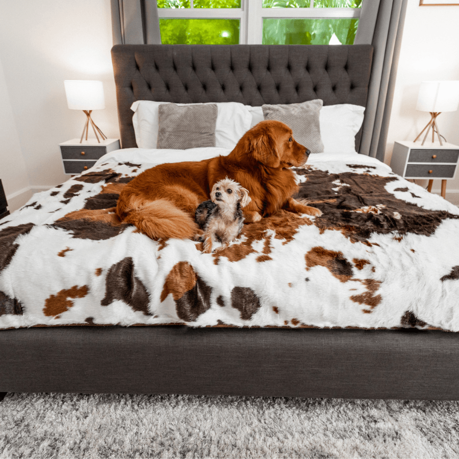 PupProtector Waterproof Throw Dog Blanket - Brown Faux Cowhide – Dog Blankets by Paw.com