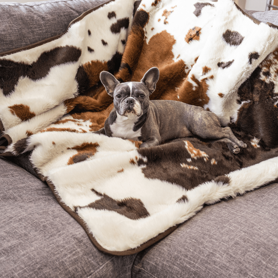 PupProtector Waterproof Throw Dog Blanket - Brown Faux Cowhide – Dog Blankets by Paw.com