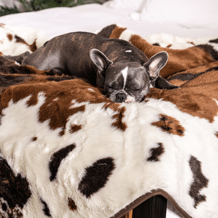 PupProtector Waterproof Throw Dog Blanket - Brown Faux Cowhide – Dog Blankets by Paw.com
