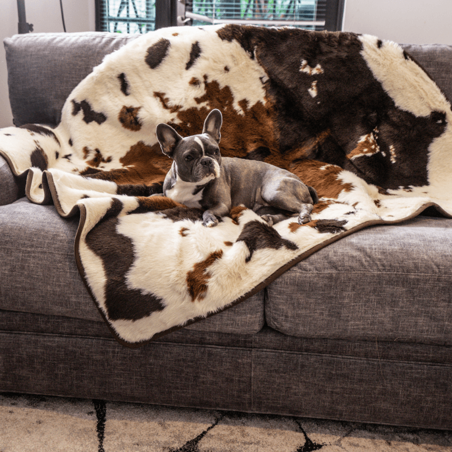 PupProtector Waterproof Throw Dog Blanket - Brown Faux Cowhide – Dog Blankets by Paw.com