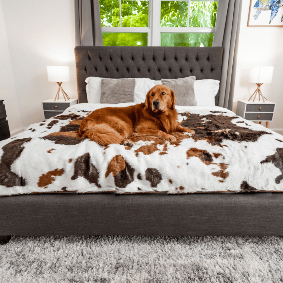 PupProtector Waterproof Throw Dog Blanket - Brown Faux Cowhide – Dog Blankets by Paw.com