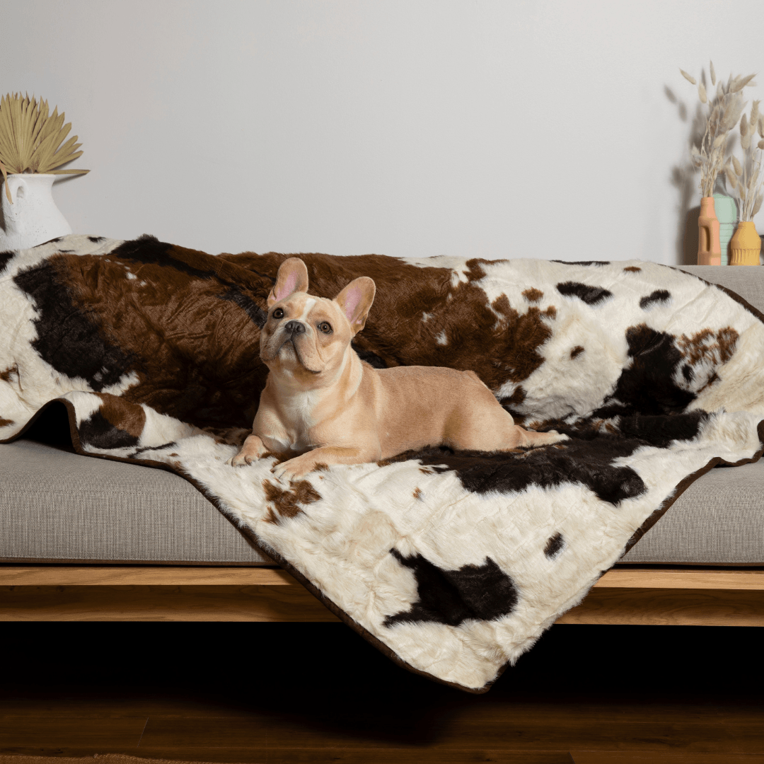 PupProtector Waterproof Throw Dog Blanket - Brown Faux Cowhide – Dog Blankets by Paw.com
