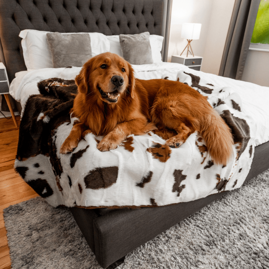 PupProtector Waterproof Throw Dog Blanket - Brown Faux Cowhide – Dog Blankets by Paw.com
