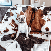 PupProtector Waterproof Throw Dog Blanket - Brown Faux Cowhide – Dog Blankets by Paw.com