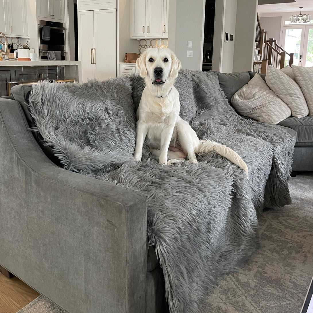 PupProtector Waterproof Throw Dog Blanket - Charcoal Grey – Dog Blankets by Paw.com