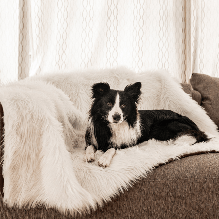 PupProtector Waterproof Throw Dog Blanket - Polar White – Dog Blankets by Paw.com