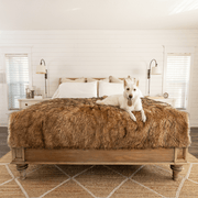 PupProtector Waterproof Throw Dog Blanket - Sable Tan – Dog Blankets by Paw.com