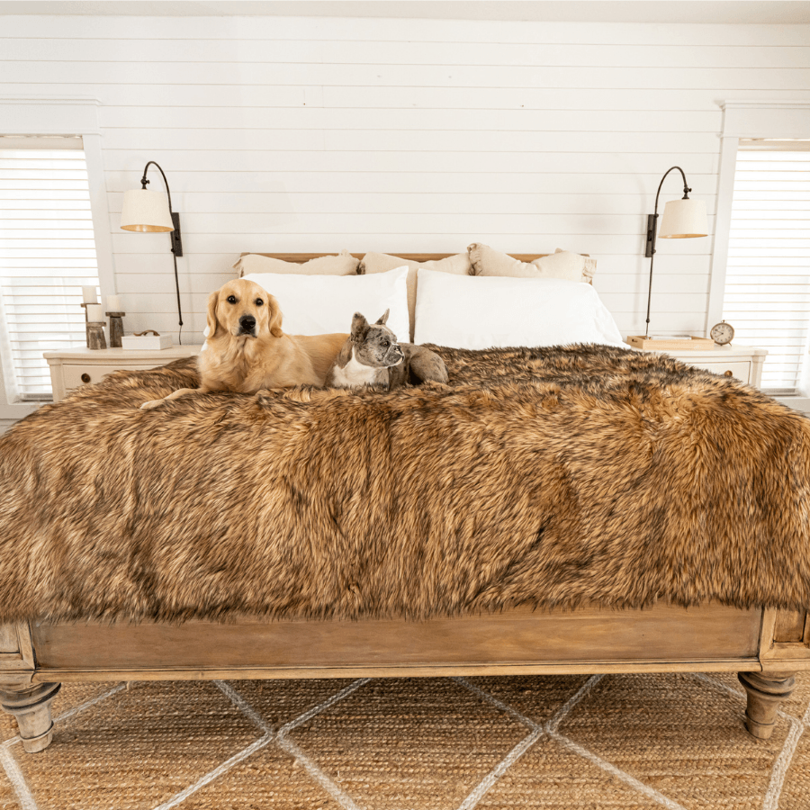 PupProtector Waterproof Throw Dog Blanket - Sable Tan – Dog Blankets by Paw.com