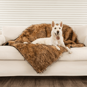 PupProtector Waterproof Throw Dog Blanket - Sable Tan – Dog Blankets by Paw.com