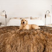 PupProtector Waterproof Throw Dog Blanket - Sable Tan – Dog Blankets by Paw.com