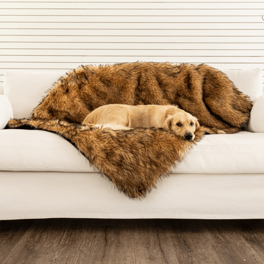 PupProtector Waterproof Throw Dog Blanket - Sable Tan – Dog Blankets by Paw.com