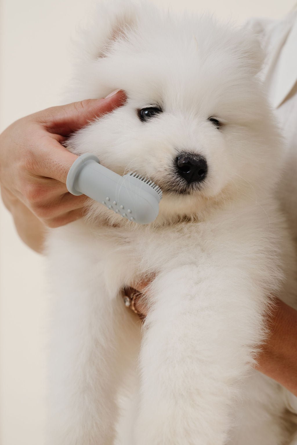 Puppy Breath Finger Dog Toothbrush – Dog Dentalcare by Pupwell