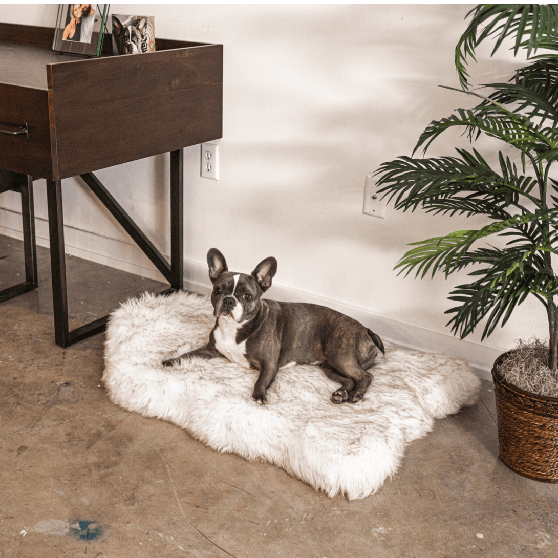 PupRug by Paw.com Faux Fur Orthopedic Dog Bed - Curve White with Brown Accents – Dog Beds by Paw.com