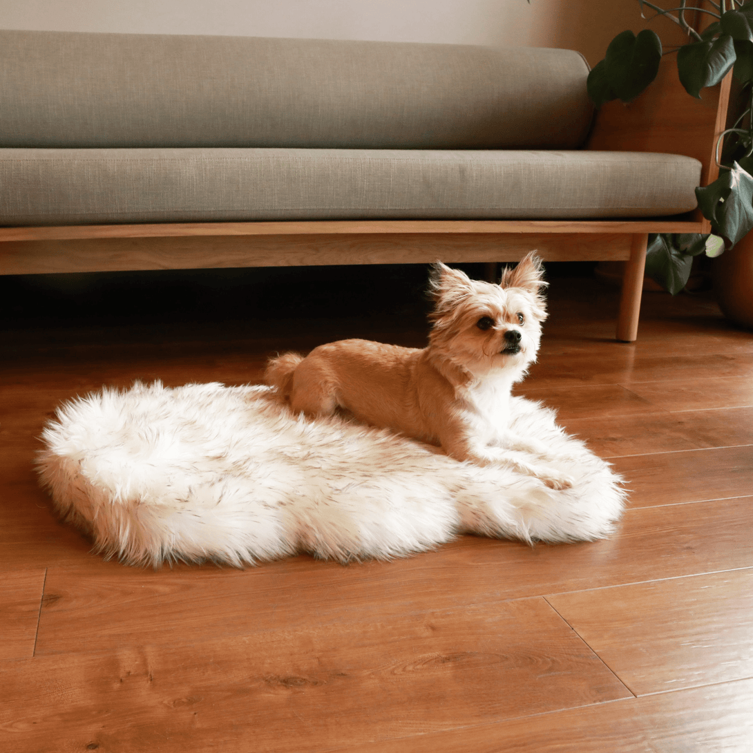 PupRug by Paw.com Faux Fur Orthopedic Dog Bed - Curve White with Brown Accents – Dog Beds by Paw.com