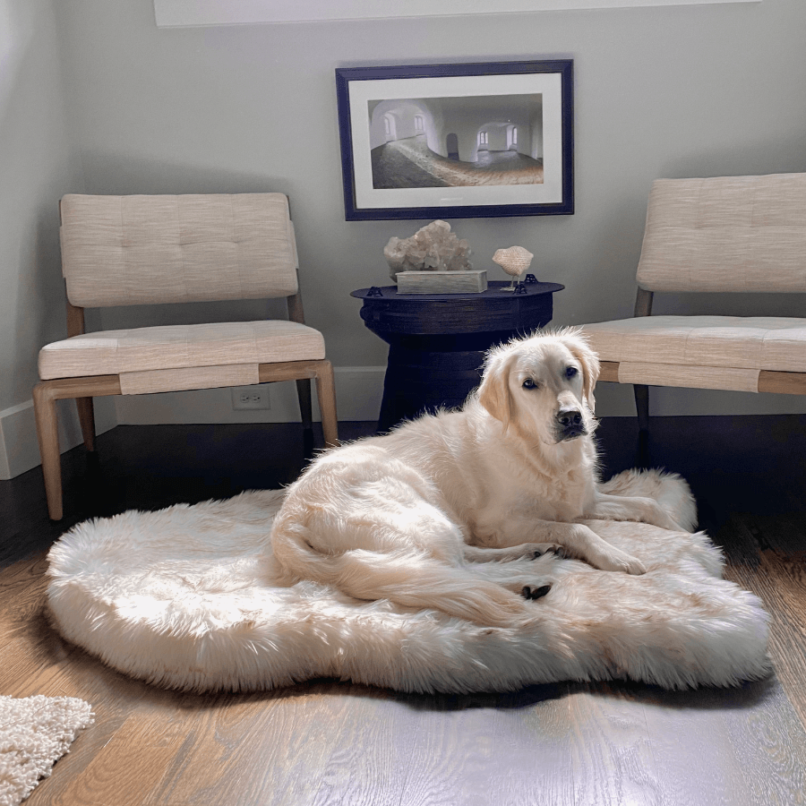 PupRug by Paw.com Faux Fur Orthopedic Dog Bed - Curve White with Brown Accents – Dog Beds by Paw.com