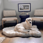 PupRug by Paw.com Faux Fur Orthopedic Dog Bed - Curve White with Brown Accents – Dog Beds by Paw.com