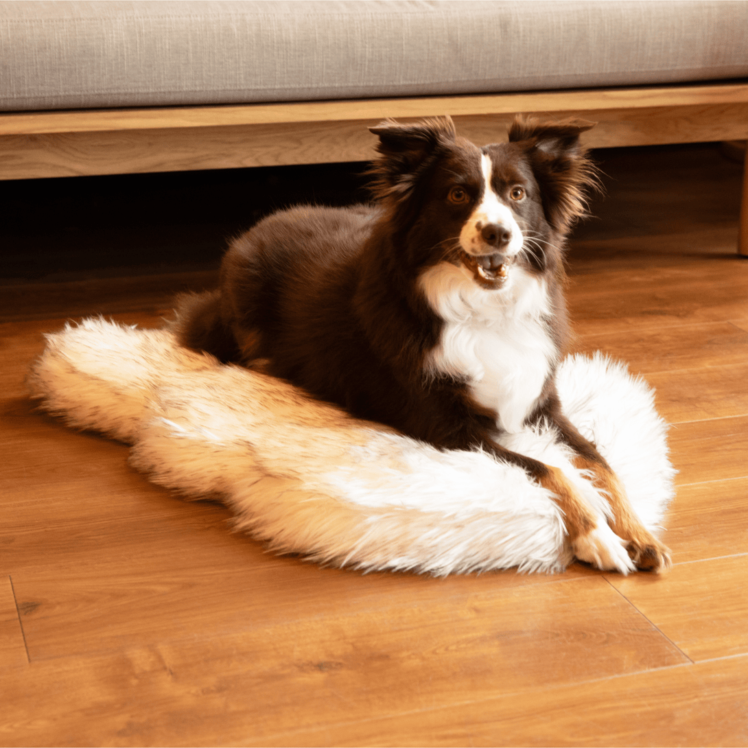 PupRug by Paw.com Faux Fur Orthopedic Dog Bed - Curve White with Brown Accents – Dog Beds by Paw.com
