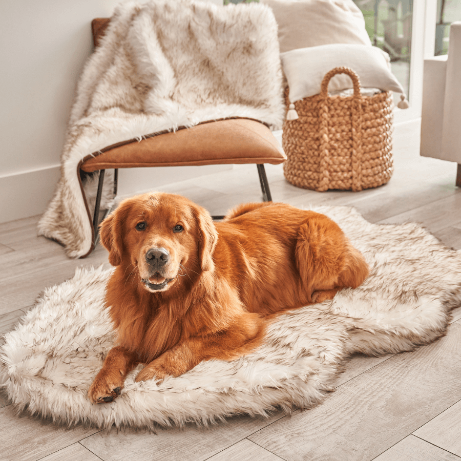 PupRug by Paw.com Faux Fur Orthopedic Dog Bed - Curve White with Brown Accents – Dog Beds by Paw.com