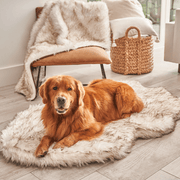 PupRug by Paw.com Faux Fur Orthopedic Dog Bed - Curve White with Brown Accents – Dog Beds by Paw.com