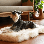 PupRug by Paw.com Faux Fur Orthopedic Dog Bed - Curve White with Brown Accents – Dog Beds by Paw.com