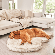 PupRug by Paw.com Faux Fur Orthopedic Dog Bed - Curve White with Brown Accents – Dog Beds by Paw.com