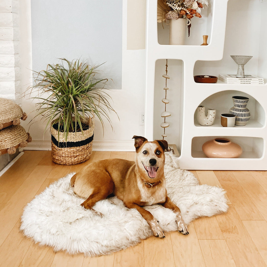 PupRug by Paw.com Faux Fur Orthopedic Dog Bed - Curve White with Brown Accents – Dog Beds by Paw.com
