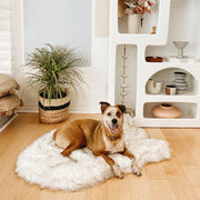 PupRug by Paw.com Faux Fur Orthopedic Dog Bed - Curve White with Brown Accents – Dog Beds by Paw.com