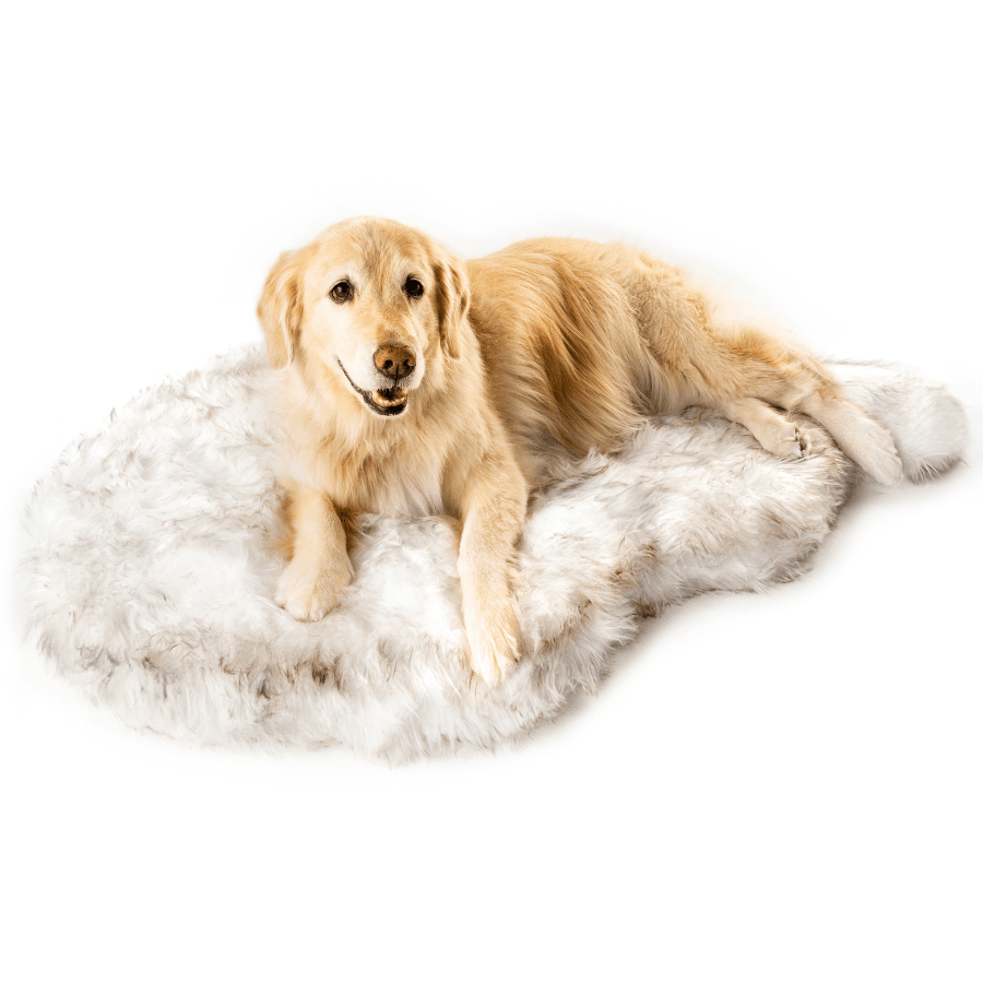 PupRug by Paw.com Faux Fur Orthopedic Dog Bed - Curve White with Brown Accents – Dog Beds by Paw.com