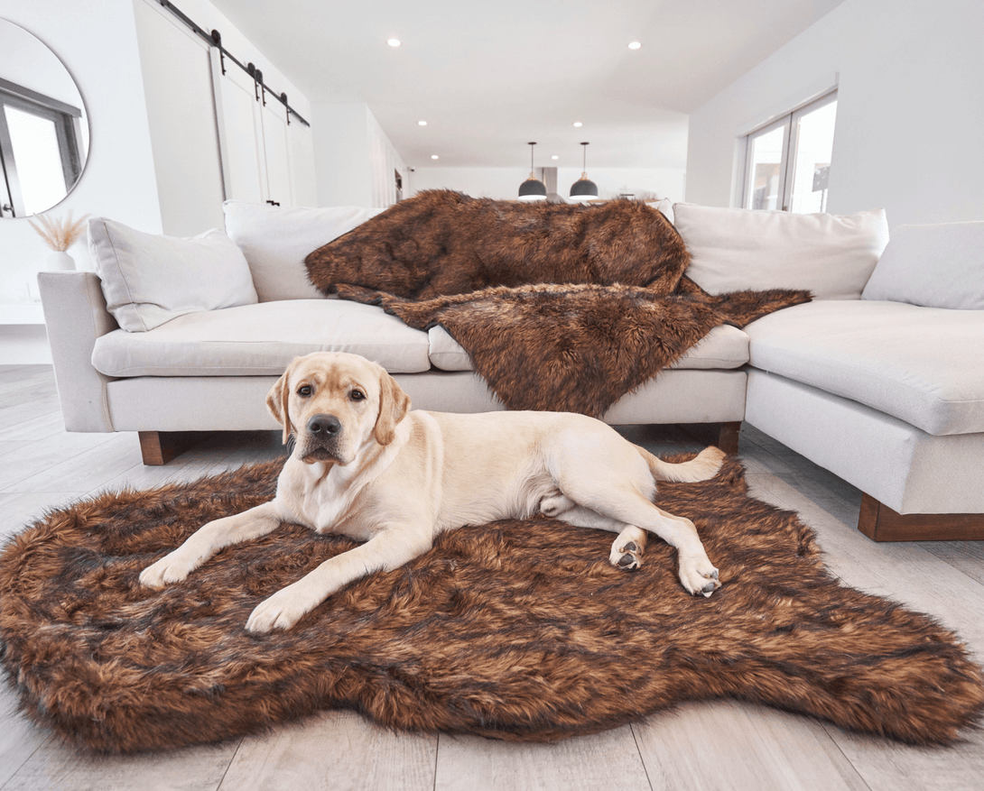 PupRug Faux Fur Orthopedic Dog Bed - Curve Brown – Dog Beds by Paw.com