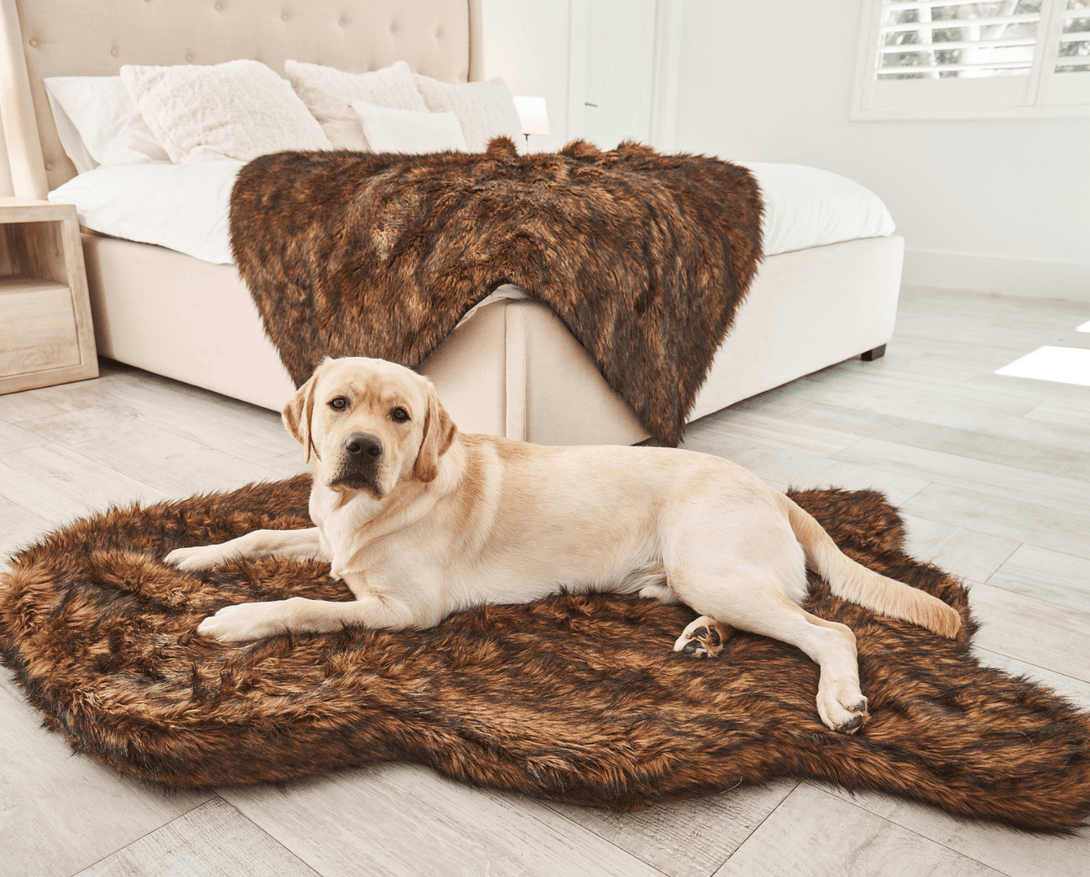 PupRug Faux Fur Orthopedic Dog Bed - Curve Brown – Dog Beds by Paw.com