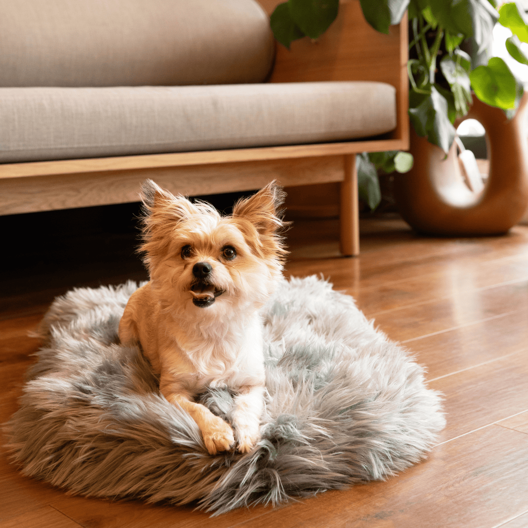 PupRug Faux Fur Orthopedic Dog Bed - Curve Charcoal Grey – Dog Beds by Paw.com