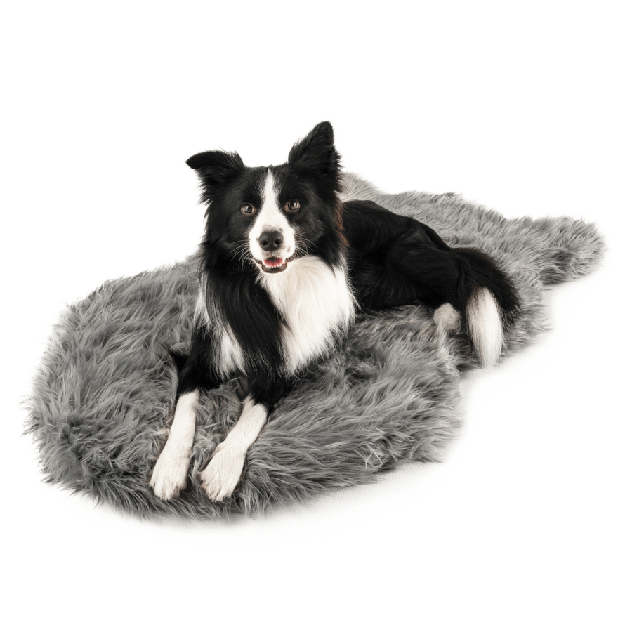 PupRug Faux Fur Orthopedic Dog Bed - Curve Charcoal Grey – Dog Beds by Paw.com