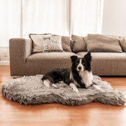 PupRug Faux Fur Orthopedic Dog Bed - Curve Charcoal Grey – Dog Beds by Paw.com
