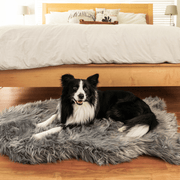 PupRug Faux Fur Orthopedic Dog Bed - Curve Charcoal Grey – Dog Beds by Paw.com