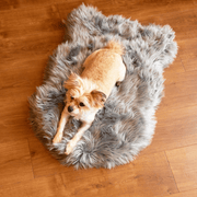 PupRug Faux Fur Orthopedic Dog Bed - Curve Charcoal Grey – Dog Beds by Paw.com