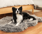 PupRug Faux Fur Orthopedic Dog Bed - Curve Charcoal Grey – Dog Beds by Paw.com