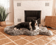PupRug Faux Fur Orthopedic Dog Bed - Curve Charcoal Grey – Dog Beds by Paw.com