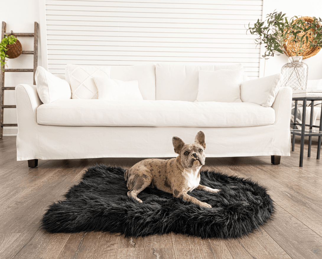 PupRug Faux Fur Orthopedic Dog Bed - Curve Midnight Black – Dog Beds by Paw.com