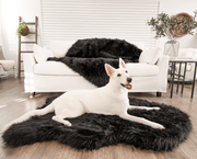 PupRug Faux Fur Orthopedic Dog Bed - Curve Midnight Black – Dog Beds by Paw.com