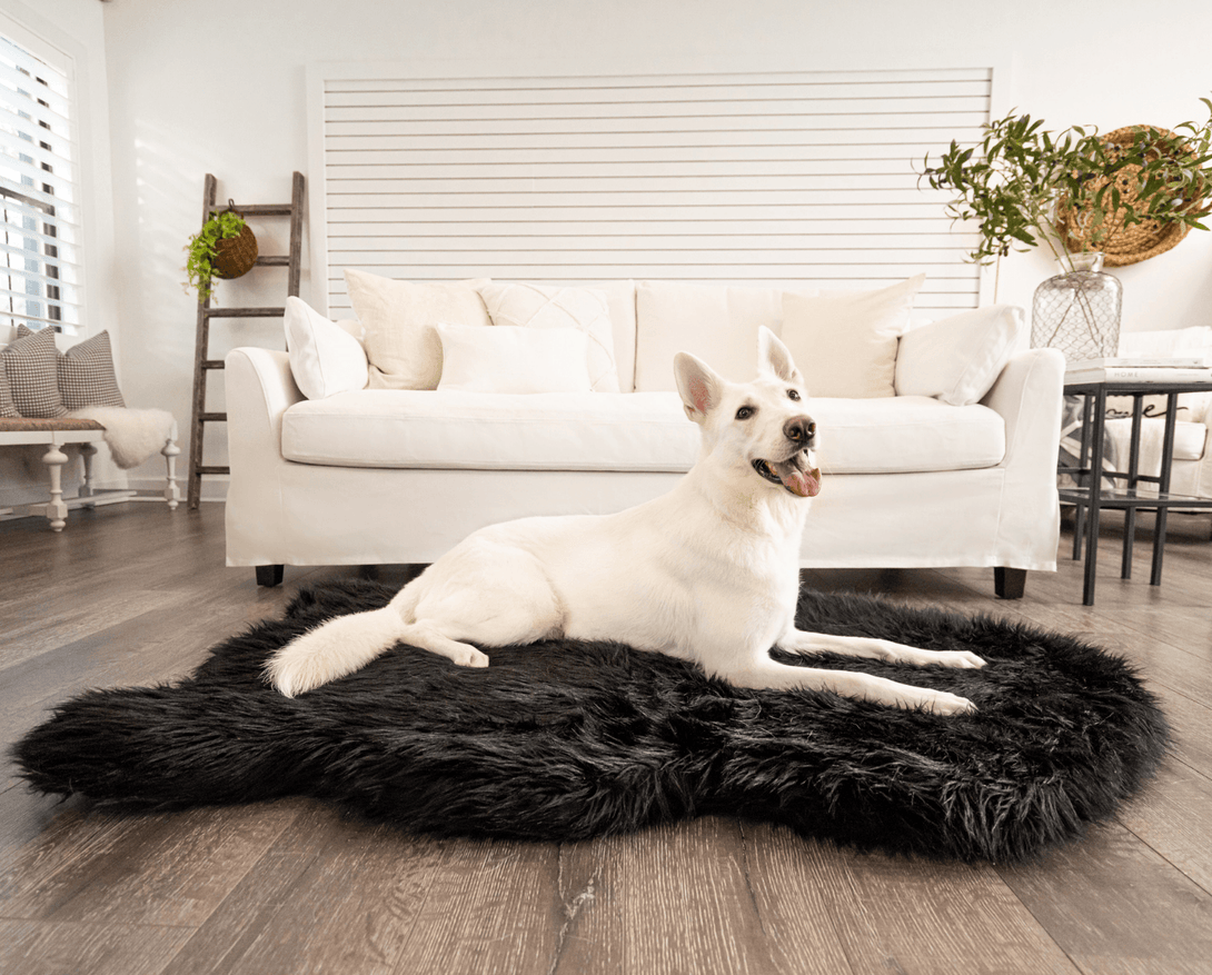 PupRug Faux Fur Orthopedic Dog Bed - Curve Midnight Black – Dog Beds by Paw.com