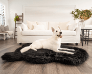 PupRug Faux Fur Orthopedic Dog Bed - Curve Midnight Black – Dog Beds by Paw.com