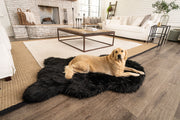 PupRug Faux Fur Orthopedic Dog Bed - Curve Midnight Black – Dog Beds by Paw.com