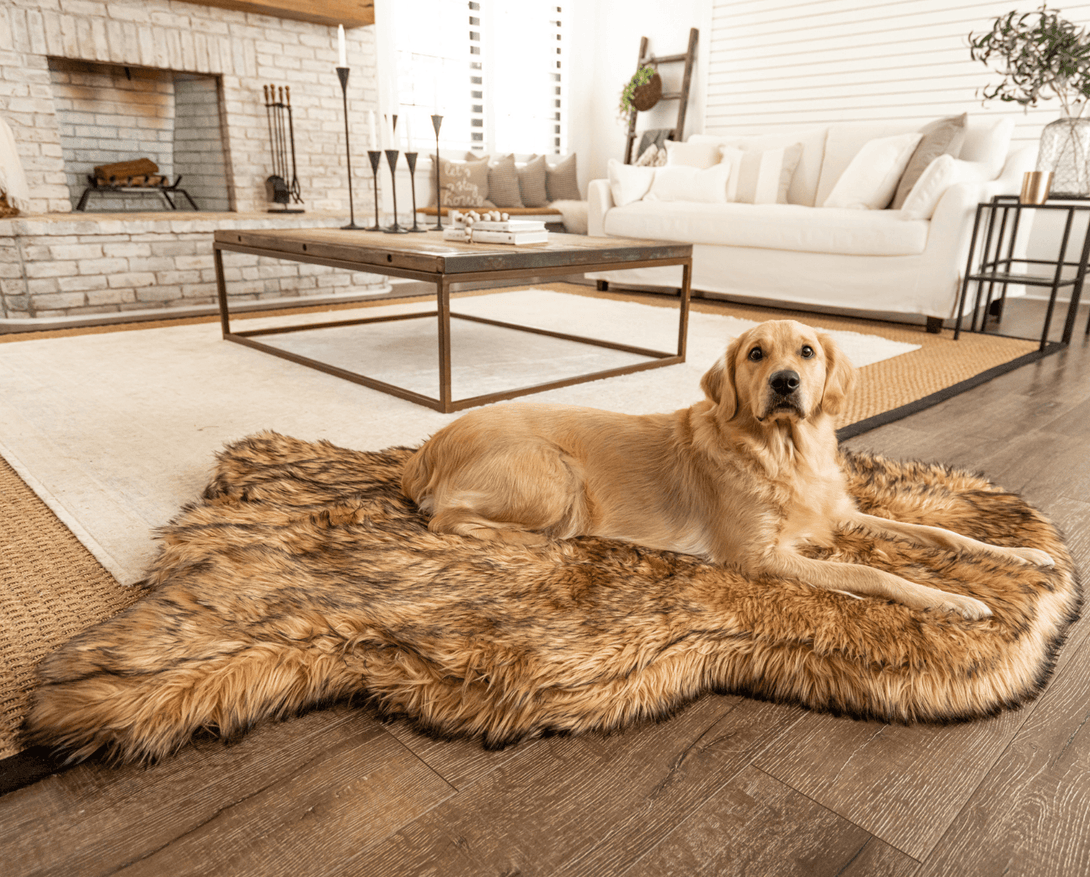 PupRug Faux Fur Orthopedic Dog Bed - Curve Sable Tan – Dog Beds by Paw.com