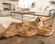 PupRug Faux Fur Orthopedic Dog Bed - Curve Sable Tan – Dog Beds by Paw.com