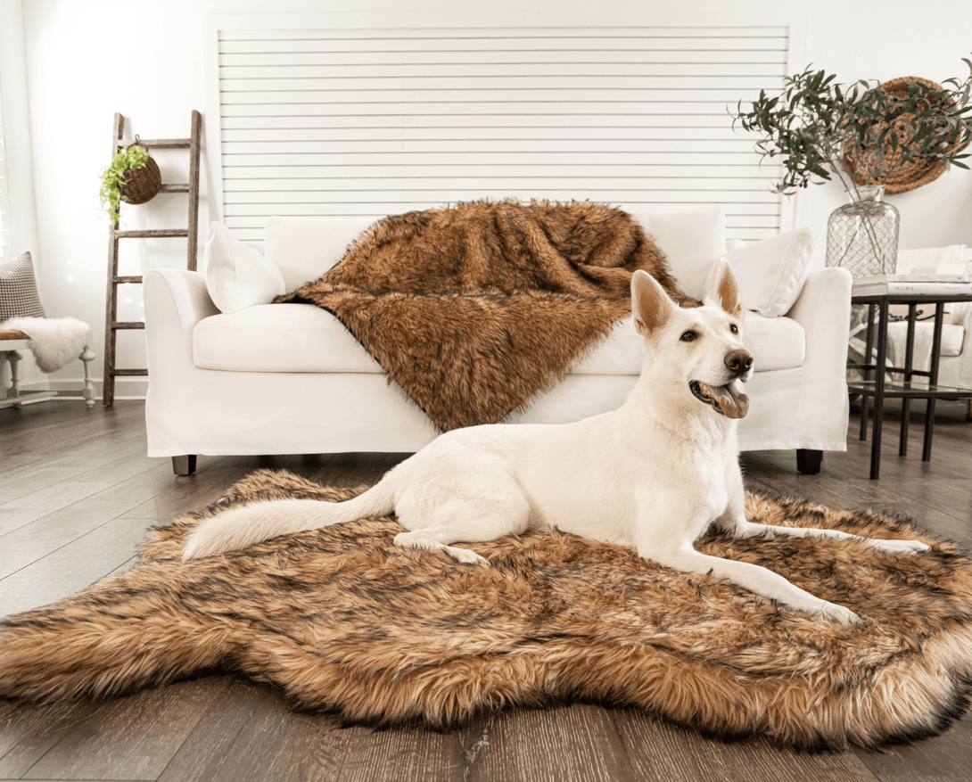 PupRug Faux Fur Orthopedic Dog Bed - Curve Sable Tan – Dog Beds by Paw.com